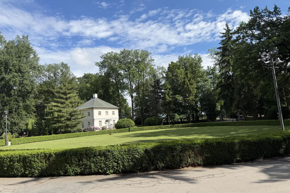 Tłum gwiazd na ślubie Darii Syty