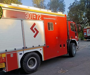 Zwłoki w Wiśle przy ujściu Narwi