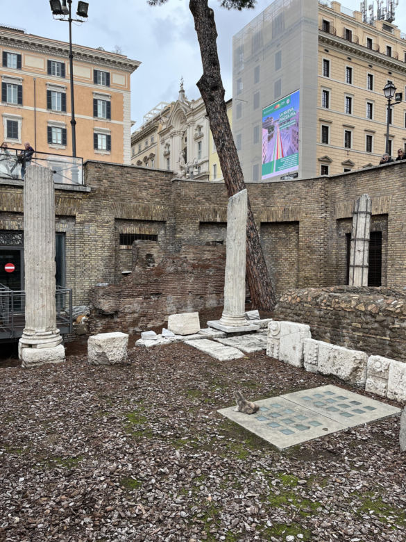 Largo Argentina w Rzymie. Koty zamieszkały w starożytnych ruinach - zobacz zdjęcia