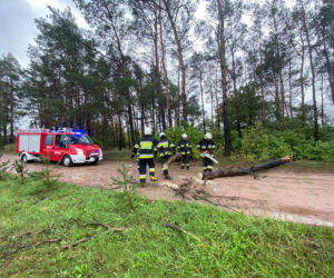 Fatalne skutki wichury w Bydgoszczy i okolicach! 