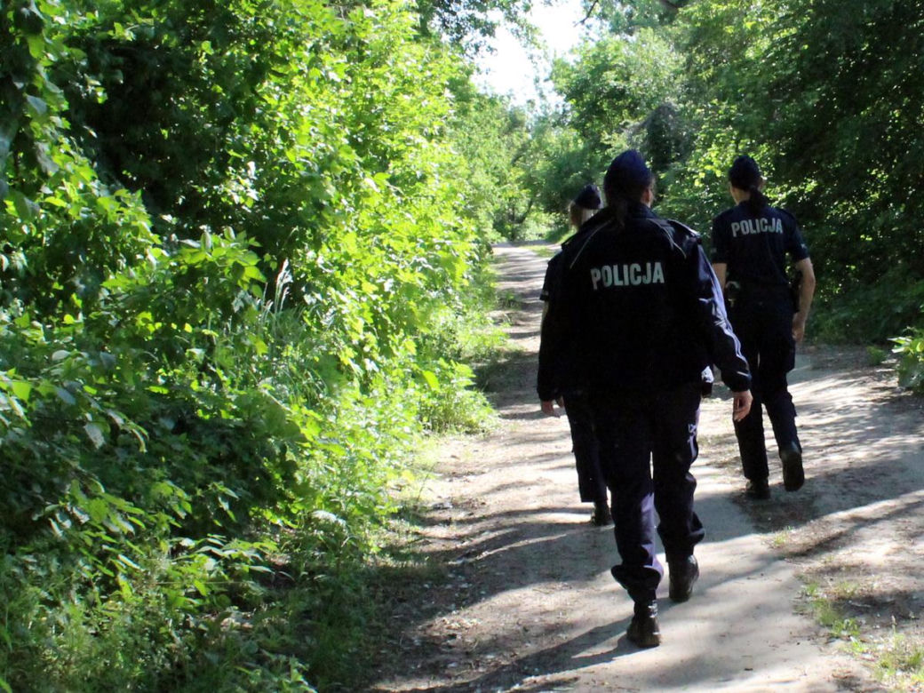 Działania służb na Wiśle w Toruniu. Straż, policja, strażnicy miejscy i grupa poszukiwawcza w akcji