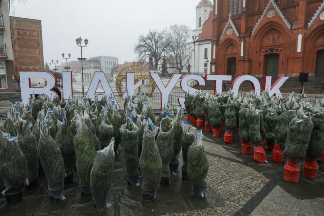 Akcja w Białymstoku (20.12.2025)