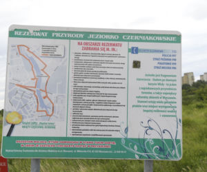 Jeziorko Czerniakowskie