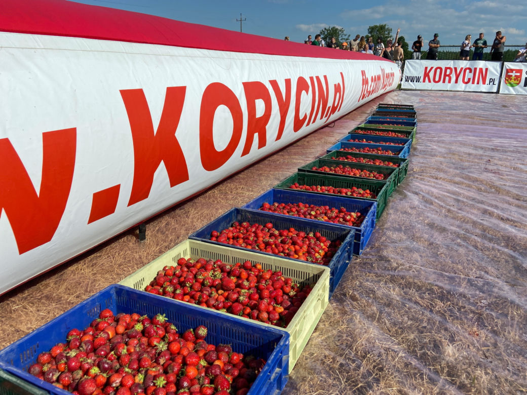 Bitwa Truskawkowa Korycin vs. Reszta Świata