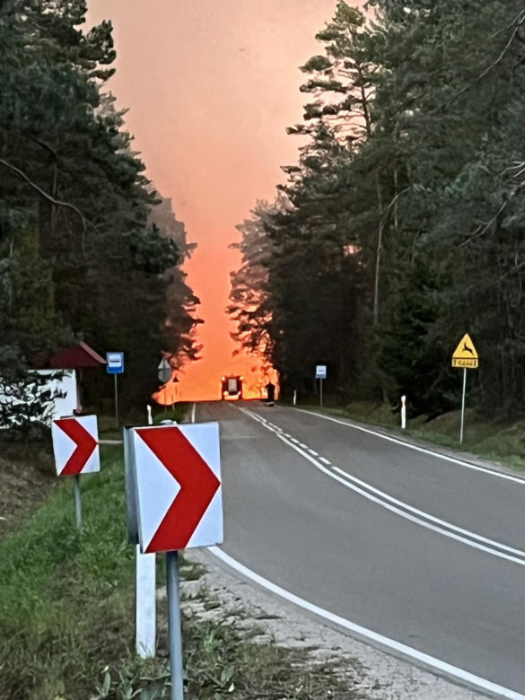 Ogromny pożar na Lubelszczyźnie! Płonie Puszcza Solska. Setki strażaków w akcji