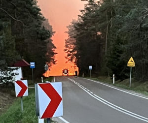 Ogromny pożar na Lubelszczyźnie! Płonie Puszcza Solska. Setki strażaków w akcji