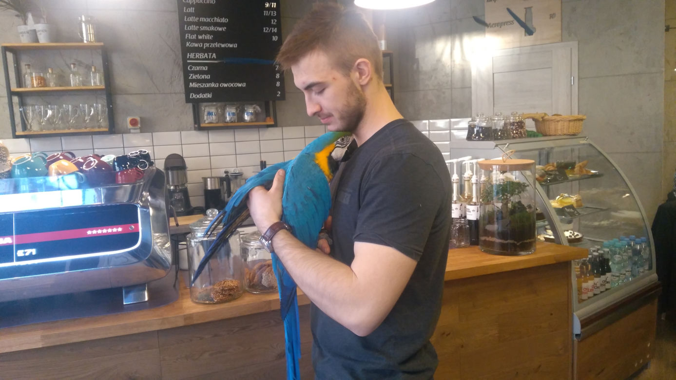 Parrot Coffee