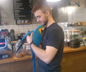 Parrot Coffee