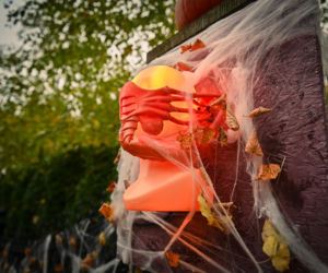 Gdańsk: Dom jak z horroru. Udekorowali budynek na helloween [ZDJĘCIA]