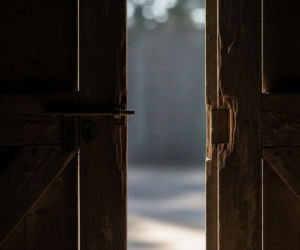 Schronisko w Sobolewie zamknięte. Co dalej z oskarżonym właścicielem?