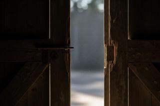 Schronisko w Sobolewie zamknięte. Co dalej z oskarżonym właścicielem?