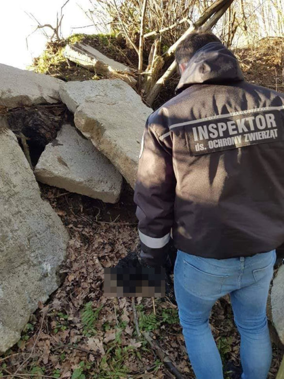 Marian F. zmasakrował labradora. "Rozpaczliwe wycie, trzask łamanych kości"