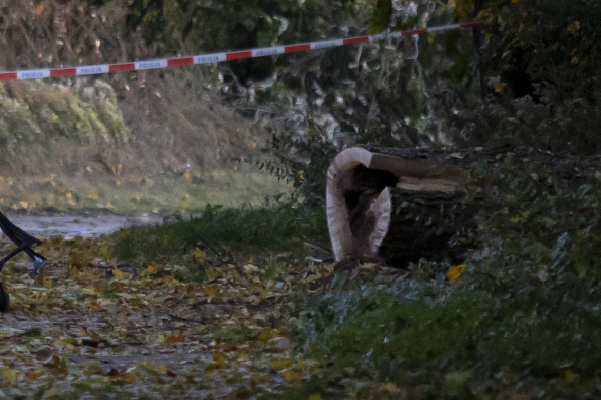Pojechali na spacer z psem. Wszyscy nie żyją