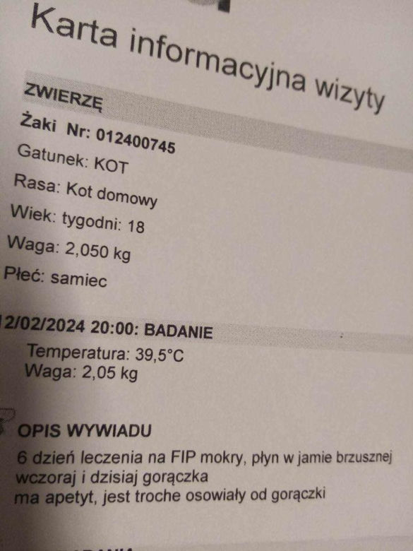Żakuś zyskał nowe życie dzięki adopcji, teraz walczy z chorobą. "Znów przyszła po niego śmierć"