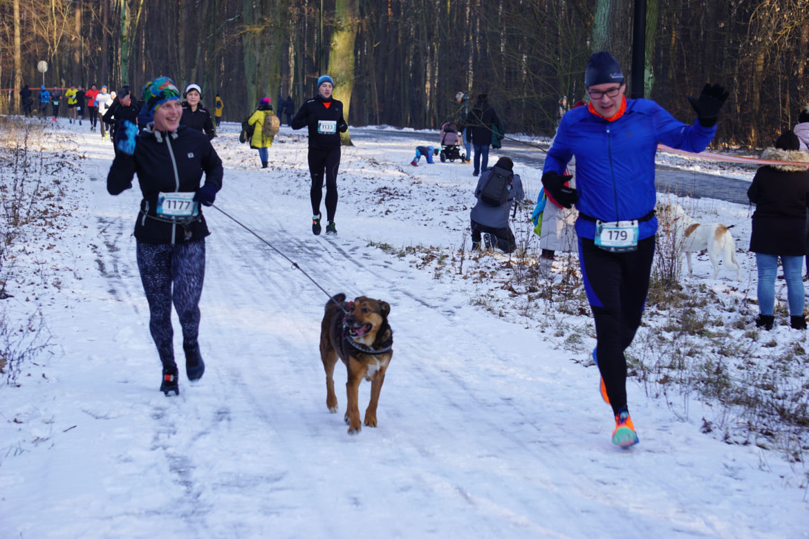 Bieg City TRAIL 2022 w bydgoskim Myślęcinku [GALERIA]