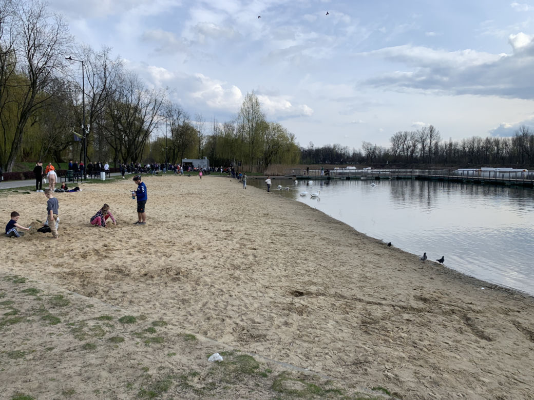 Stawiki w Sosnowcu budzą się do życia na wiosnę