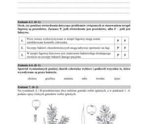 ARKUSZE CKE - Matura biologia 2019