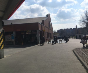 Gigantyczne kolejki do sklepów