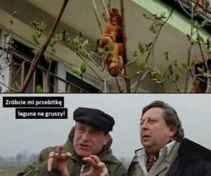 Krakowski lagun to prawdziwy FENOMEN! [MEMY]