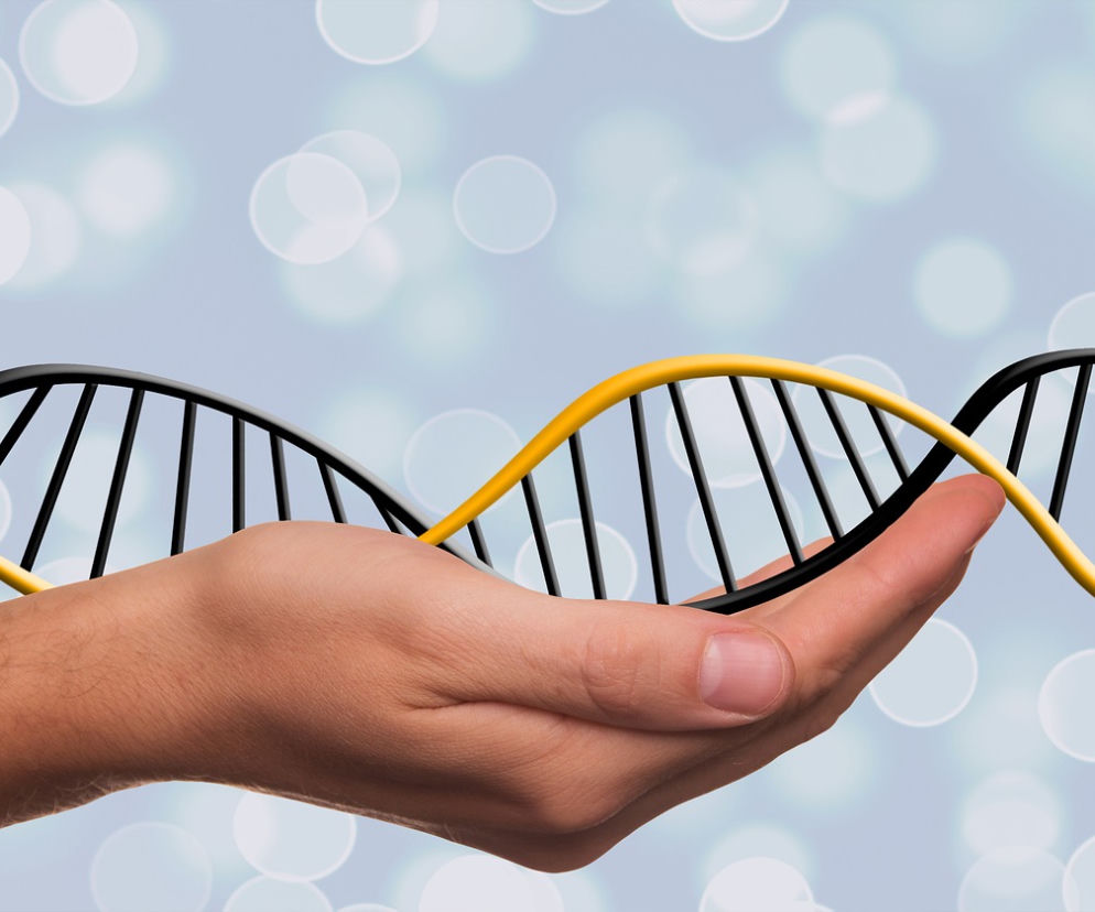 kod DNA