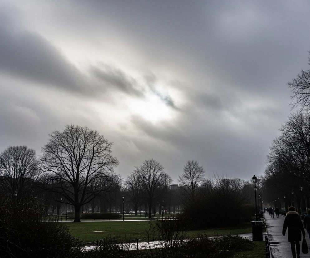Niebo pokryte jest burzowymi chmurami, z których na środku przebija się jasne, rozmyte światło. Poniżej rozciąga się park z zielonym trawnikiem i licznymi, bezlistnymi drzewami o ciemnych konarach, rozmieszczonymi w różnych odległościach. Po prawej stronie biegnie mokra ścieżka spacerowa, wzdłuż której ustawiono latarnie, a kilku ludzi idzie pod parasolami lub z torbami, ich sylwetki są zacienione. Na pierwszym planie, w dolnej części obrazu, widoczne są krzewy i fragmenty trawnika z kałużami, otoczone niskim, ciemnym ogrodzeniem.
