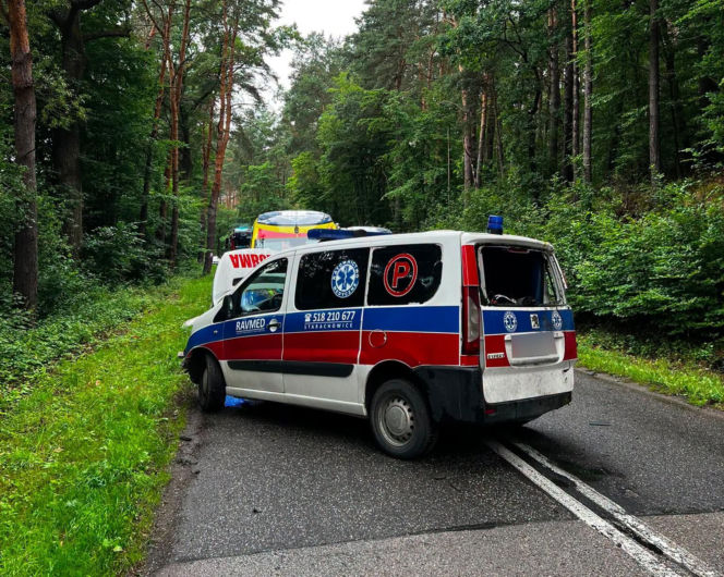 Groźny wypadek na leśnym odcinku drogi. Karetka rozbiła się między Stykowem a Kałkowem