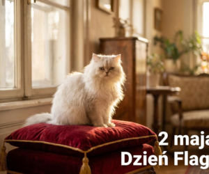 obrazek na 2 maja