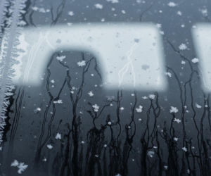 Pies zamarzał w aucie. Dramatyczna akcja ratunkowa na warszawskiej Białołęce