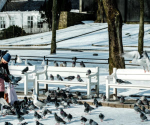 Nowe połączenie lotnicze z Warszawy. Pokochają je miłośnicy zimowych wypraw