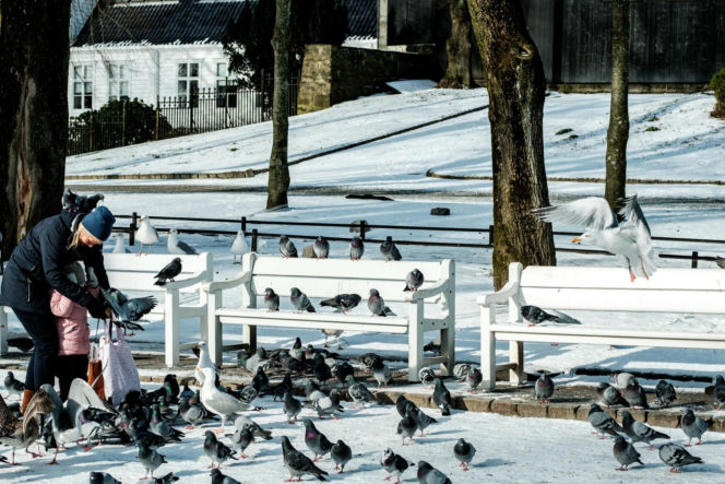 Nowe połączenie lotnicze z Warszawy. Pokochają je miłośnicy zimowych wypraw