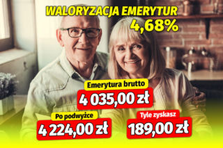 Waloryzacja