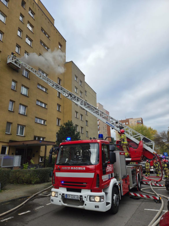 Bohaterska postawa strażaków z Krakowa. Uratowali zwierzęta z płonącego mieszkania