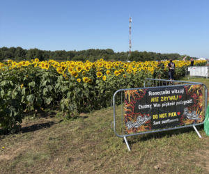 Pol'and'Rock Festival 2026