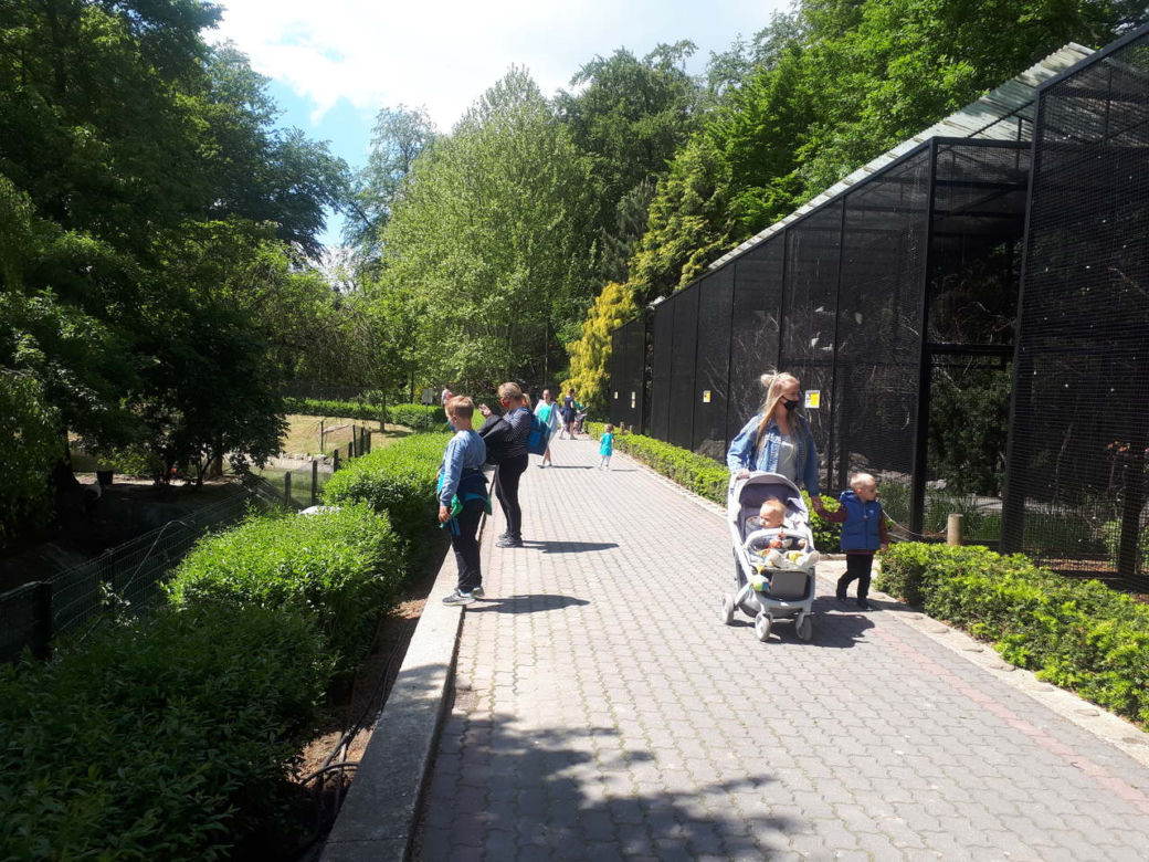 Krakowskie ZOO wznowiło działanie i zaprasza do odwiedzin