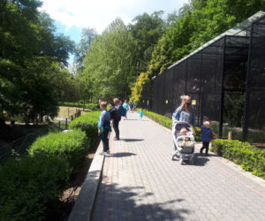 Krakowskie ZOO wznowiło działanie i zaprasza do odwiedzin