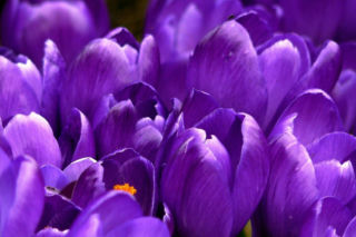 Życzenia na imieniny Remigiusza