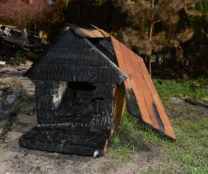 Stracili dom w Wielki Piątek. Młode małżeństwo spod Garwolina potrzebuje naszej pomocy
