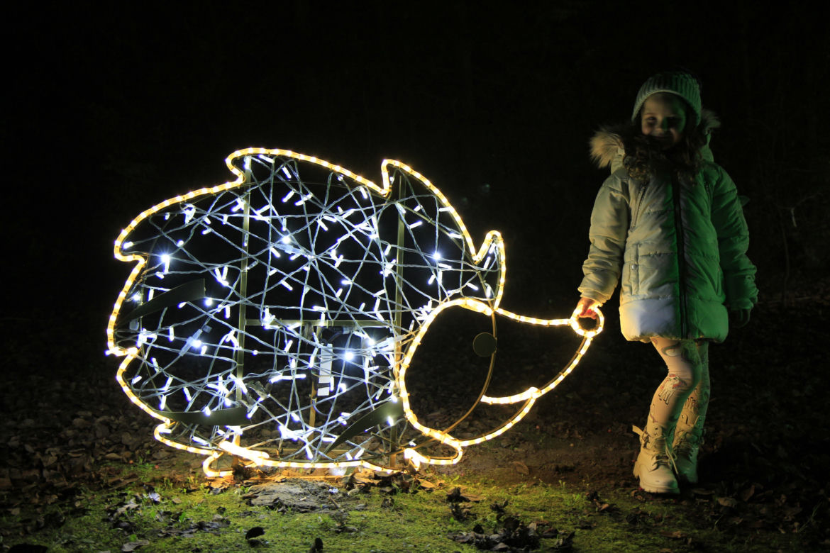 Park iluminacji „Tajemniczy Ogród” w Lublinie