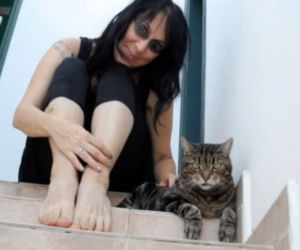 O kocich mężach, czyli kobieta, która POŚLUBIŁA swoje KOTY. A co z nocą poślubną?!