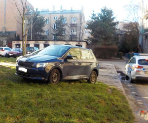 Strażnicy miejscy tracą cierpliwość: Trawnik to NIE parking. Ci kierowcy mogą spalić się ze WSTYDU, mamy zdjęcia