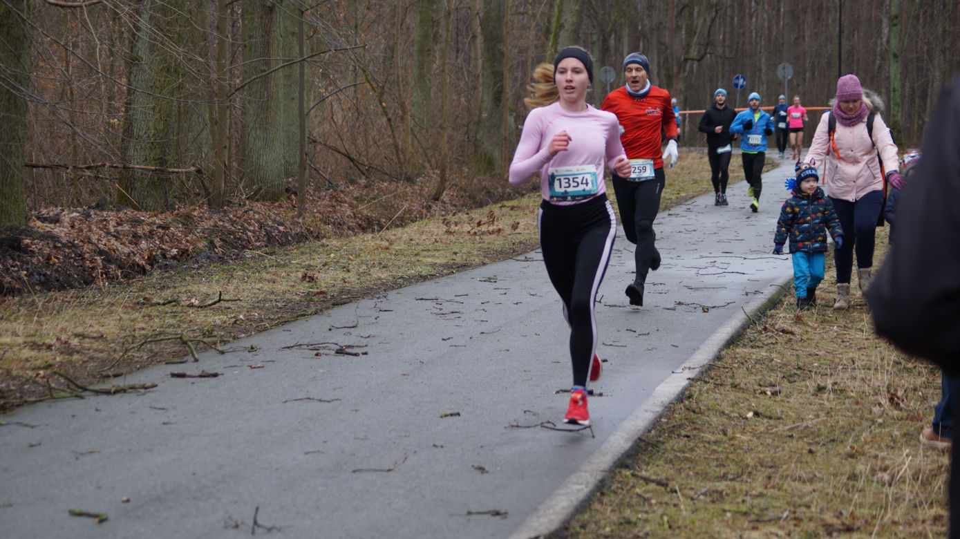 Bieg City TRAIL 2022 w bydgoskim Myślęcinku [ZDJĘCIA]