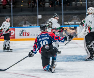 GKS Tychy - KH Energa Toruń, drugi ćwierćfinał PHL, zdjęcia z meczu