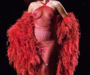 Lady Gaga na koncercie Well Child