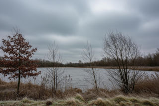 Grudziądz czeka pogodowy rollercoaster 03.12.2025! Czy zima zaskoczy nas w środku tygodnia?