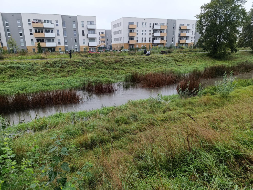 Sytuacja pogodowa we Wrocławiu i okolicach