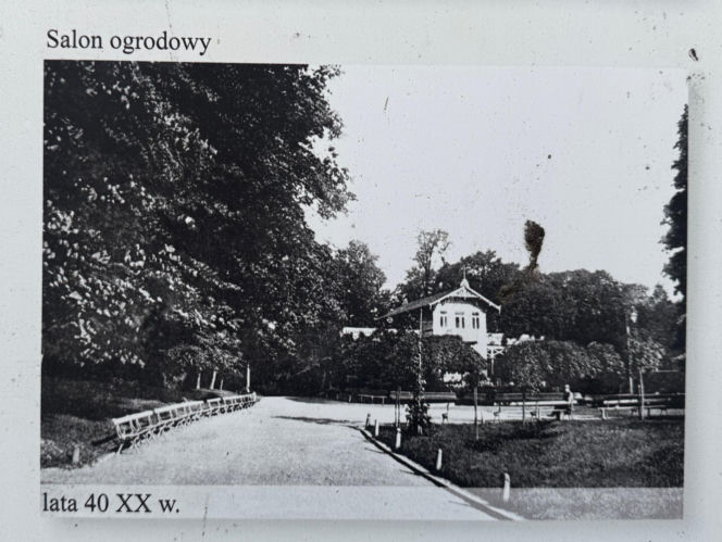 Jeden z najstarszych parków w Polsce budzi się do życia. Wiosna w Parku Saskim w Lublinie