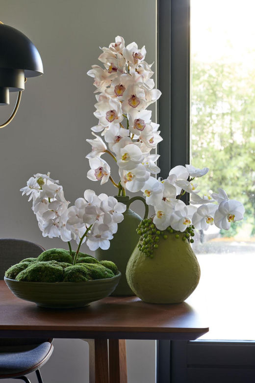 Storczyk Cymbidium (Cymbidium)