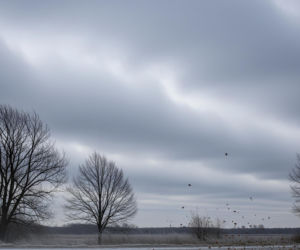Atak zimy w Chojnicach 20.11.2025. Co czeka mieszkańców?