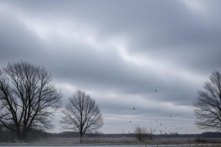 Atak zimy w Chojnicach 20.11.2025. Co czeka mieszkańców?