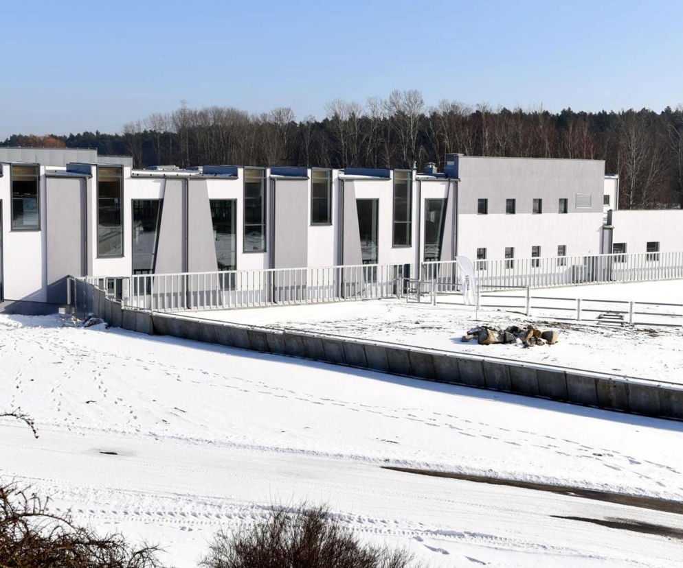 Wielka inwestycja w Nowym ZOO. Mieszkańcy oko w oko staną z żyrafami i nosorożcami